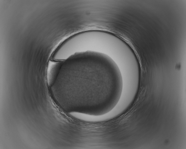 X0000115230387200912111036