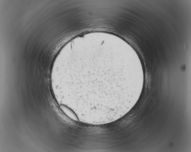 X0000115230389200912111036