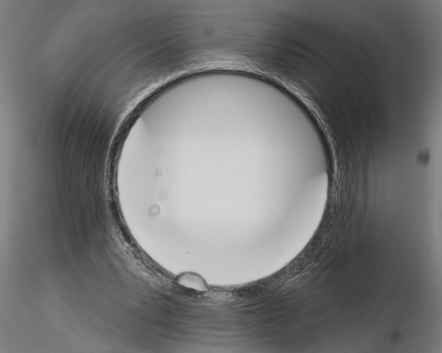 X0000115230391200912111036