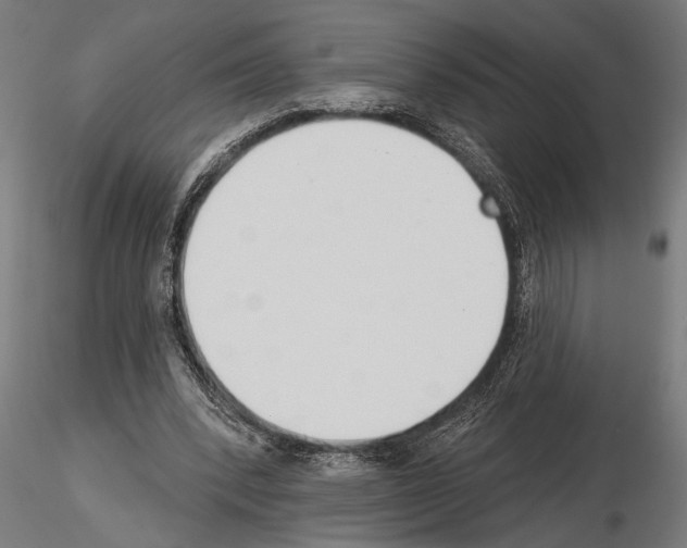 X0000115230392200912111035