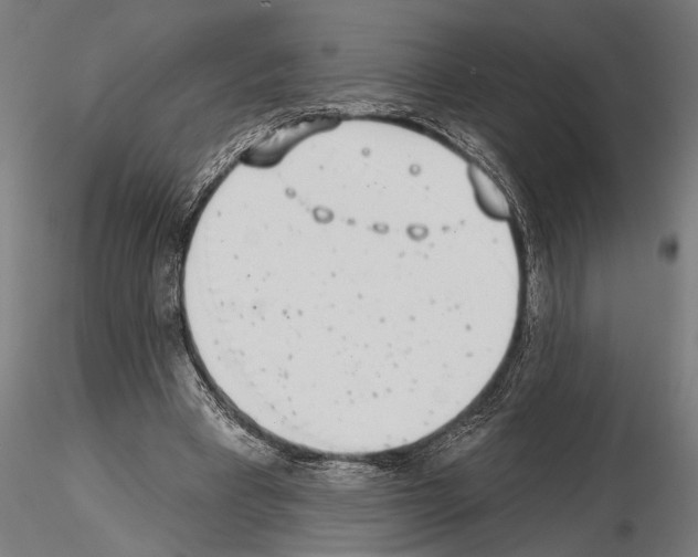 X0000115230393200912111035