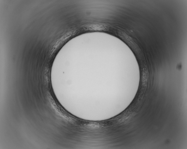 X0000115230394200912111035