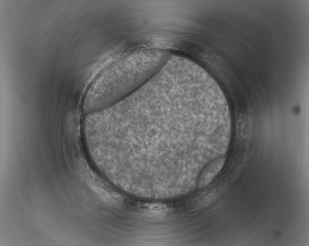 X0000115230395200912111035