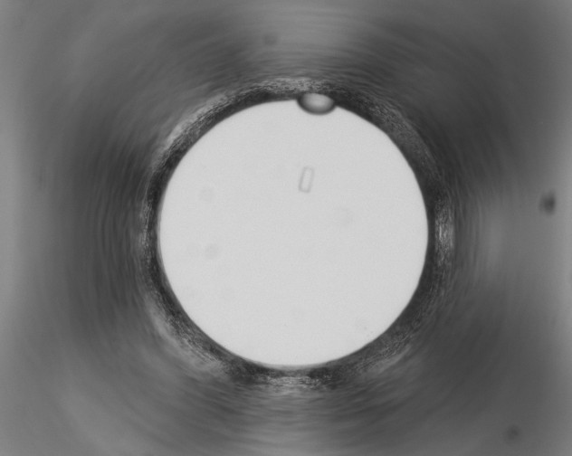 X0000115230396200912111035