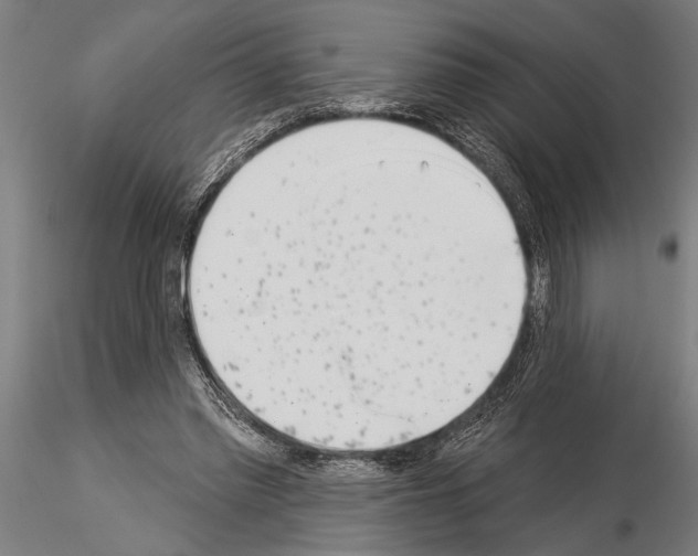 X0000115230397200912111035