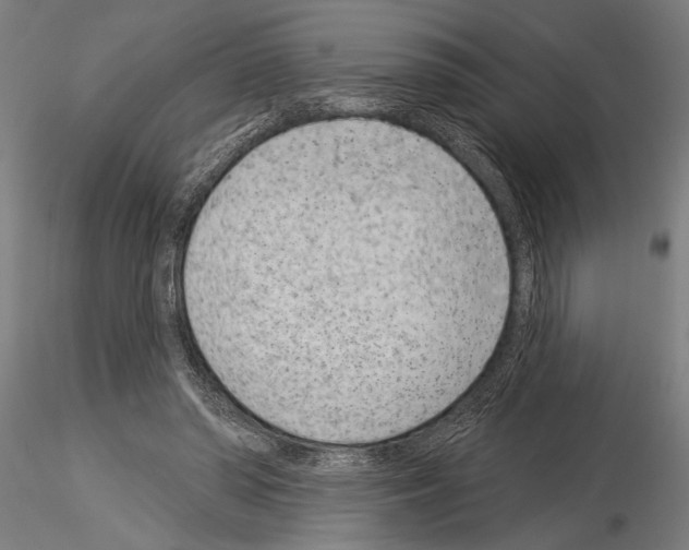 X0000115230398200912111035