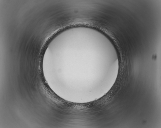 X0000115230399200912111035