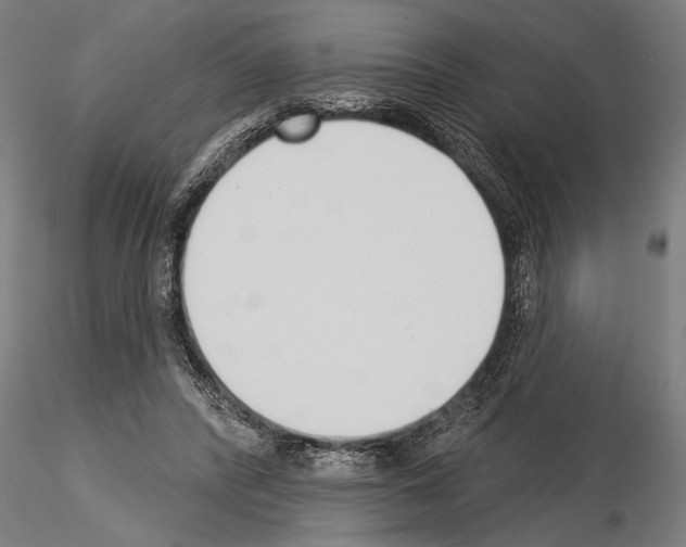 X0000115230400200912111035