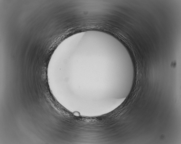 X0000115230401200912111035