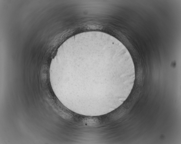 X0000115230402200912111035