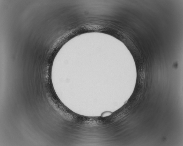 X0000115230404200912111035