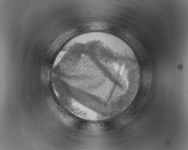 X0000115230405200912111035