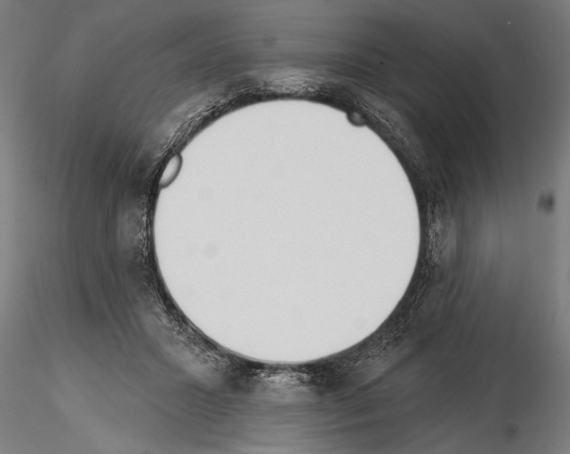 X0000115230407200912111035