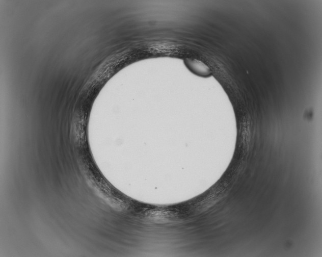 X0000115230408200912111035