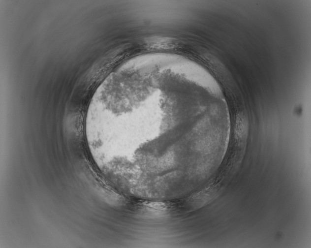 X0000115230409200912111035