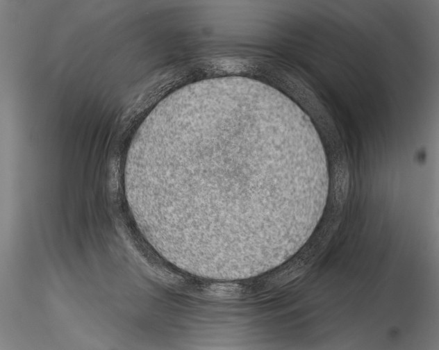 X0000115230410200912111035