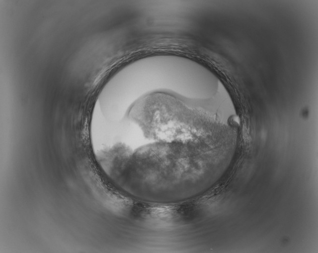 X0000115230411200912111035