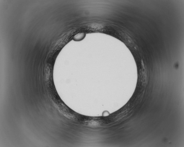 X0000115230412200912111035