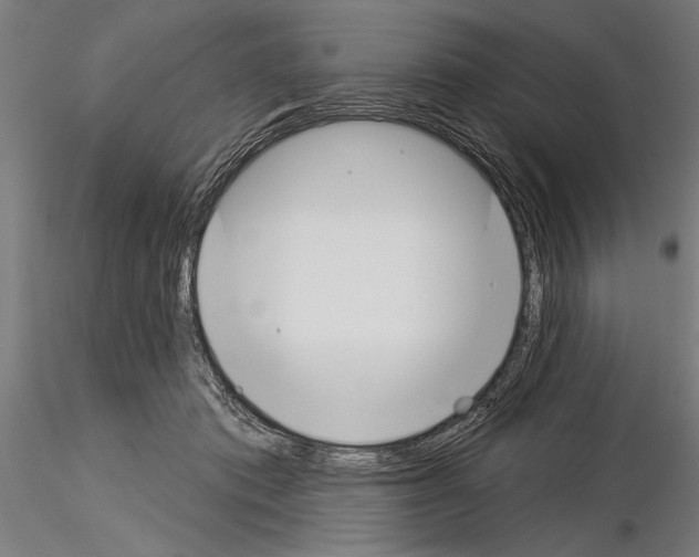 X0000115230413200912111035