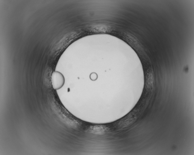 X0000115230414200912111035