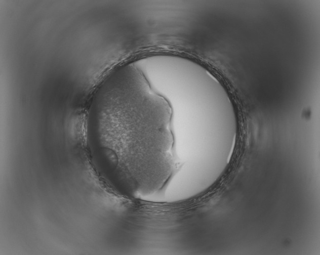 X0000115230415200912111035