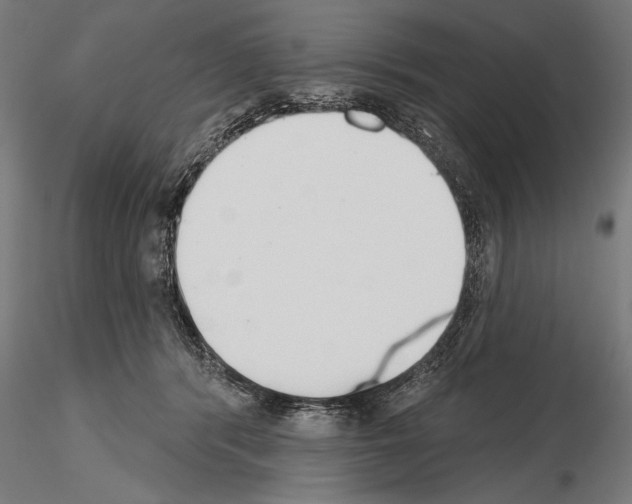 X0000115230416200912111035