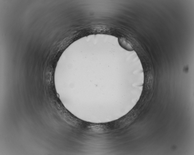 X0000115230417200912111035