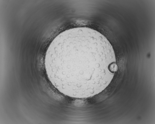 X0000115230418200912111035