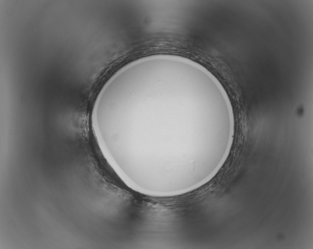 X0000115230419200912111035