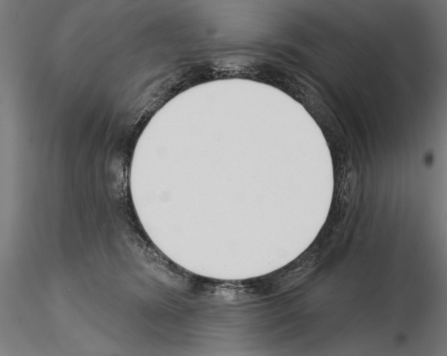 X0000115230420200912111035