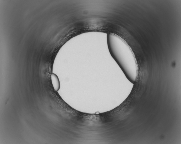 X0000115230421200912111035