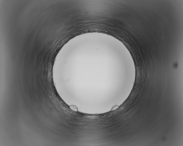 X0000115230424200912111035