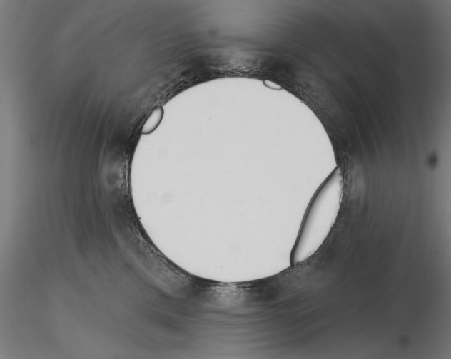 X0000115230425200912111035