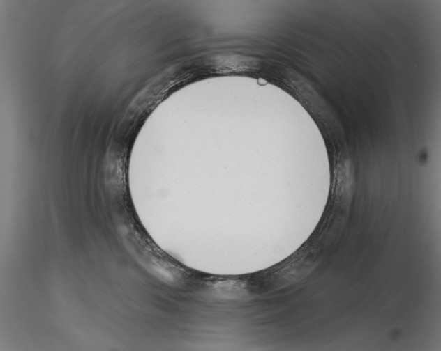 X0000115230426200912111035