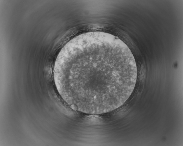 X0000115230427200912111035