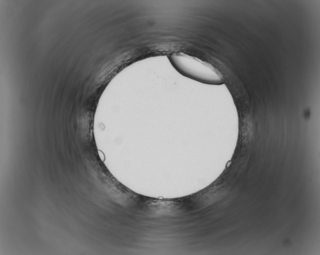 X0000115230428200912111035