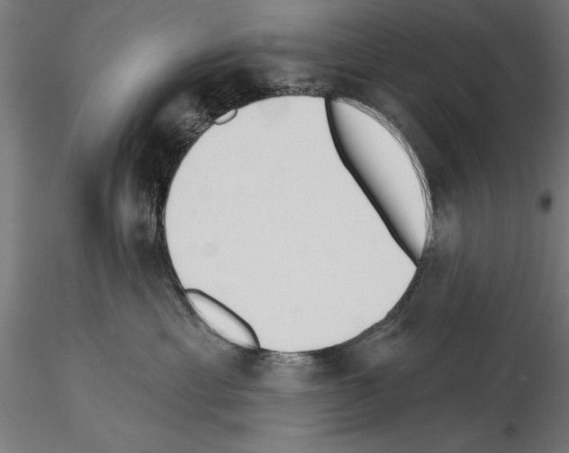 X0000115230429200912111035