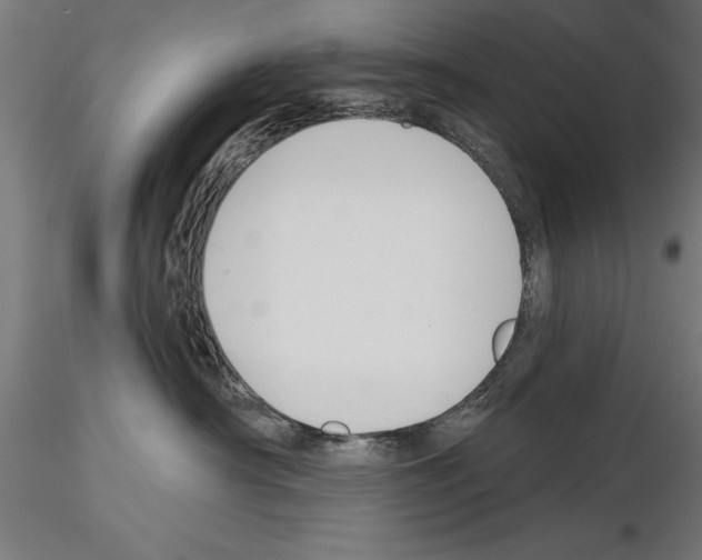 X0000115230430200912111035