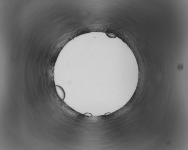 X0000115230432200912111035