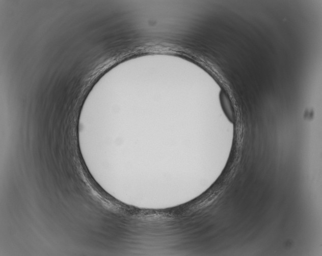 X0000115230433200912111034