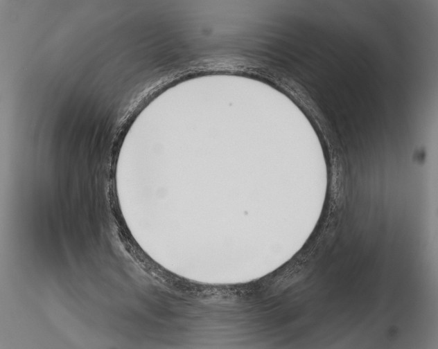 X0000115230434200912111034