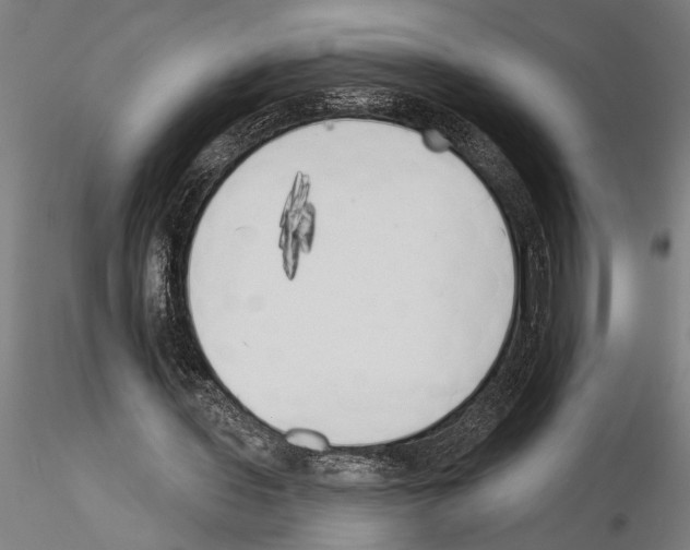 X0000115230435200912111034