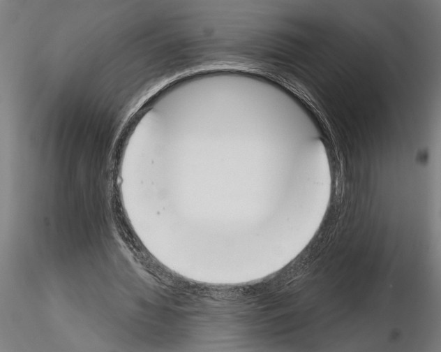 X0000115230436200912111034