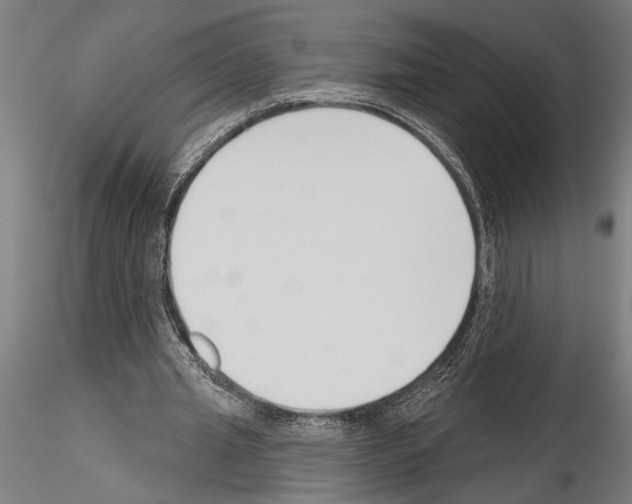 X0000115230437200912111034