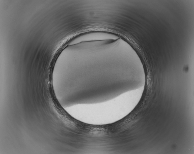 X0000115230438200912111034