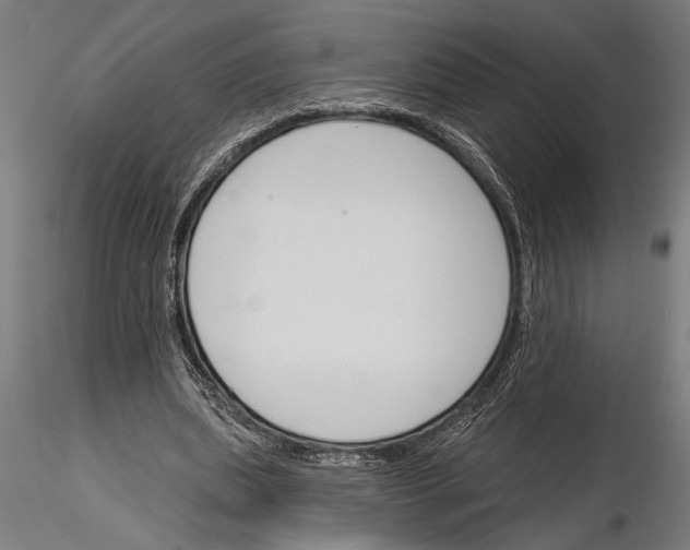 X0000115230439200912111034