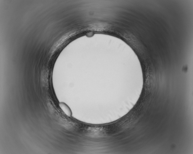 X0000115230440200912111034