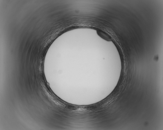 X0000115230441200912111034