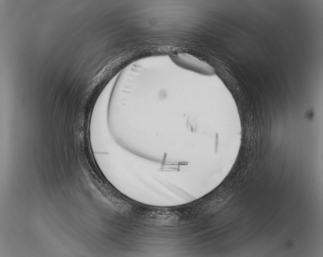 X0000115230443200912111034