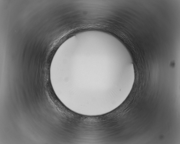 X0000115230444200912111034